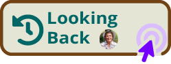 link to looking back