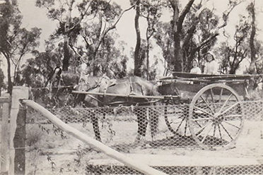 Palmer horse and cart